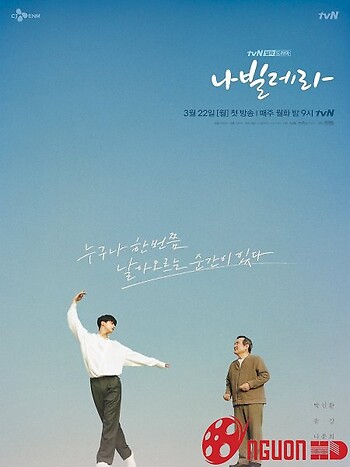 Vũ Điệu Của Bướm