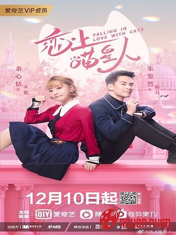 Yêu Phải Nàng Meo Tinh