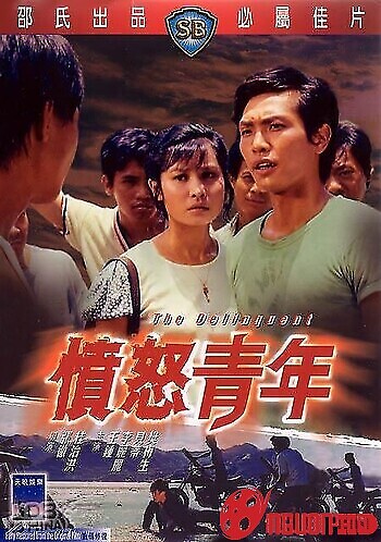 Hận Thù Tuổi Trẻ