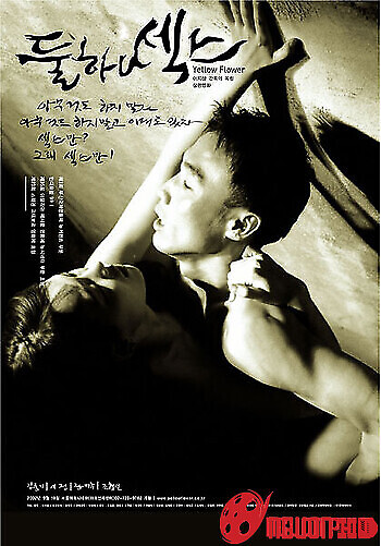 Hoa Vàng Rực Rỡ