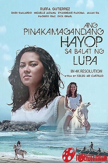 Hòn Đảo Tình Ái