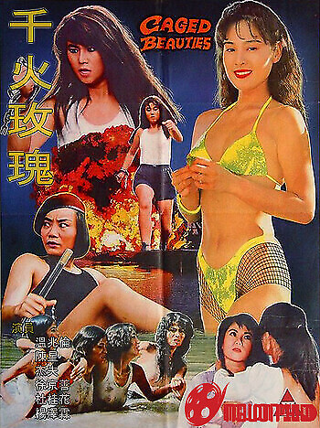 Những Bông Hồng Tù Đày