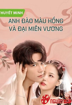 Anh Đào Màu Hồng Và Đại Miên Vương (Thuyết Minh)