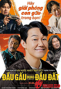 Đầu Gấu Đụng Đầu Đất