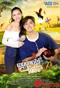 Rể Nhà Nông Dâu Phố Thị