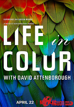 Sự Sống Đầy Màu Sắc