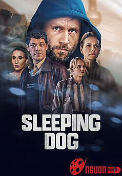 Sự Thật Ngủ Yên