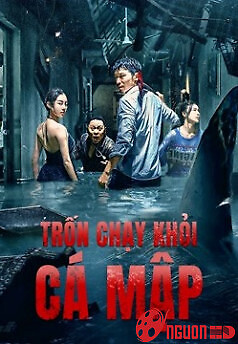 Trốn Chạy Khỏi Cá Mập