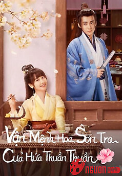 Vận Mệnh Hoa Sơn Trà Của Hứa Thuần Thuần