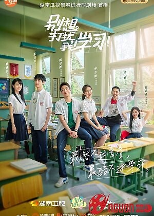 Đừng Làm Phiền Tôi Học