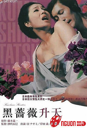 Hoa Hồng Đen Thăng Hoa