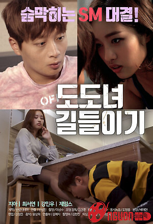 Huấn Luyện Cô Nàng Kiêu Căng