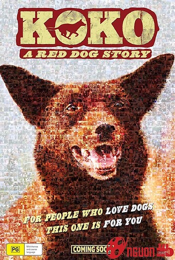 Koko: A Red Dog Story