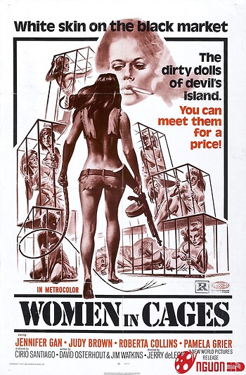 Người Phụ Nữ Trong Song Sắt