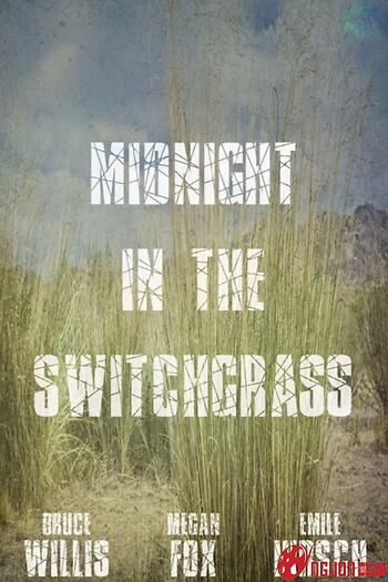 Nửa Đêm Ở Switchgrass