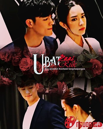 Tai Nạn Tình Yêu