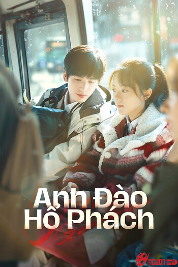 Anh Đào Hổ Phách