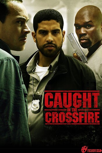 Bị Bắt Trong Cuộc Chiến