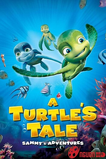Cuộc Phiêu Lưu Của Chú Rùa Sammy
