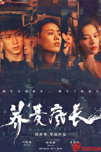 Mùa Hoa Kiều Mạch