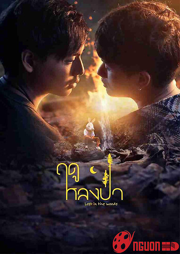 Mùa Lạc Trong Rừng