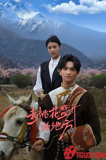 Nơi Hoa Đào Nở Rộ