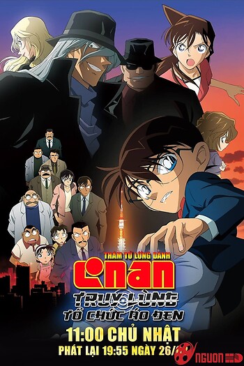 Thám Tử Lừng Danh Conan 13: Truy Lùng Tổ Chức Áo Đen