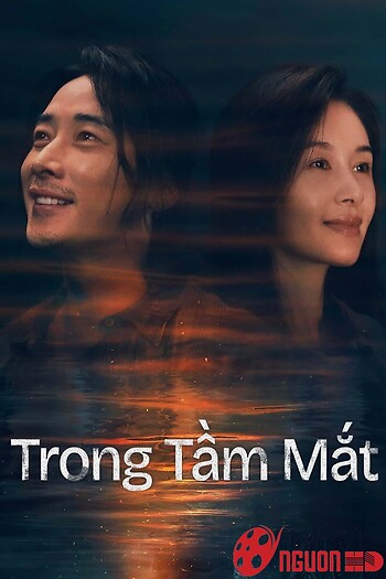 Trong Tầm Mắt