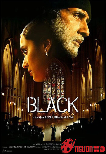 Ánh Sáng Từ Bóng Tối