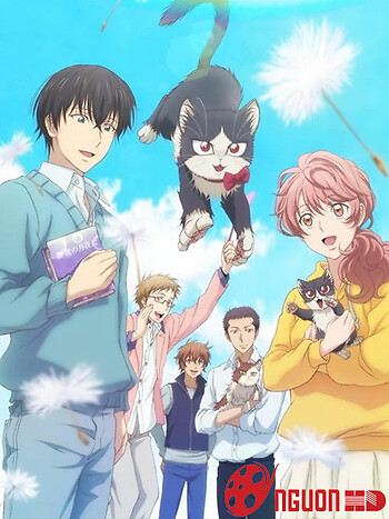 Bạn Cùng Phòng Là Mèo