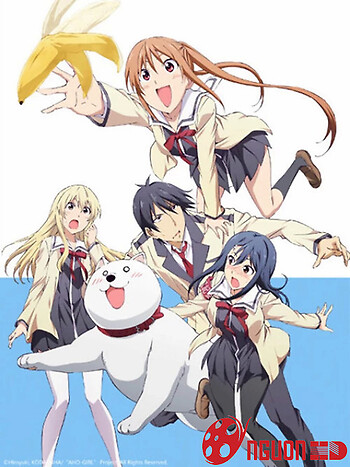Cô Nàng Ngốc - Aho Girl