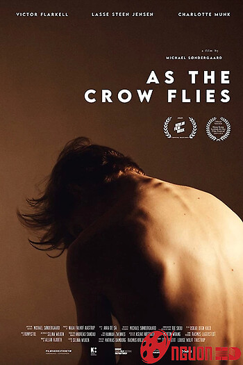 Đôi Cánh Tham Vọng