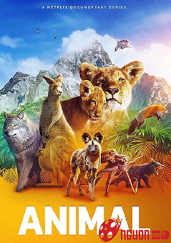 Động Vật (Phần 2)