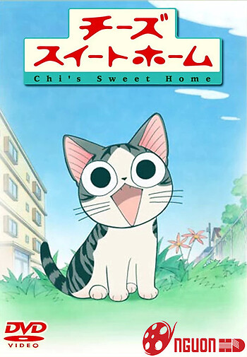 Mái Ấm Của Mèo Chi