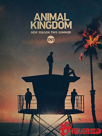 Vương Quốc Động Vật (Phần 5)