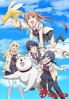 Aho Girl