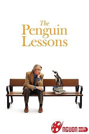 Bài Học Từ Chú Chim Cánh Cụt