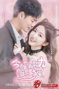 Bạn Gái Tôi Là Một Con Mèo