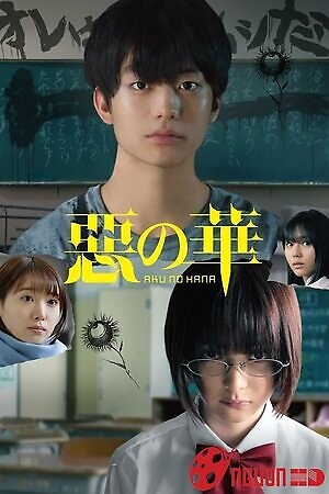 Bông Hoa Của Ác Ma