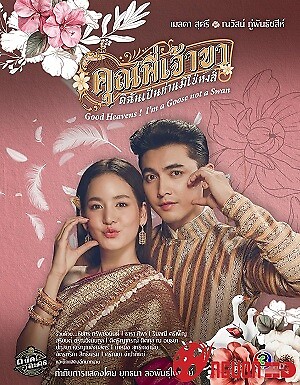 Chàng Ơi... Ta Là Ngỗng Không Phải Thiên Nga