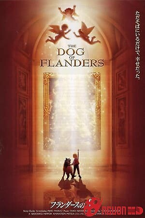 Chú Chó Xứ Flanders
