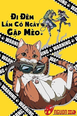 Đi Đêm Lắm Có Ngày Gặp Mèo