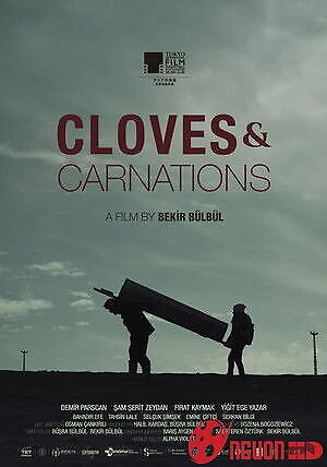 Đinh Hương Và Cẩm Chướng