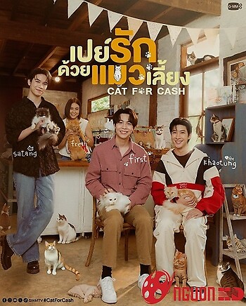 Đổi Tình Lấy Mèo