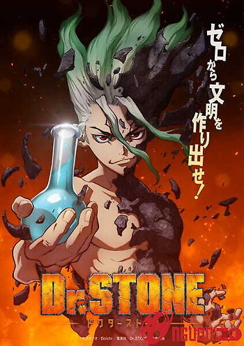 Dr. Stone
