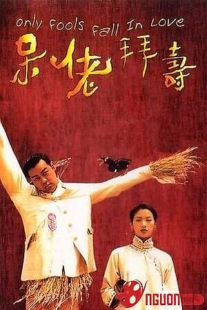 Kẻ Ngốc Cũng Biết Yêu