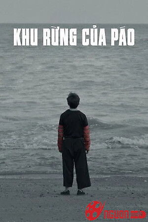 Khu Rừng Của Páo
