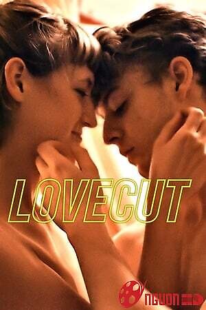 Lát Cắt Tình Yêu