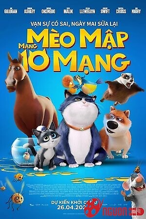 Mèo Mập Mang 10 Mạng