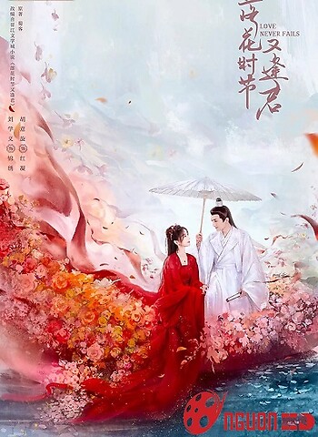 Mùa Hoa Rơi Gặp Lại Chàng